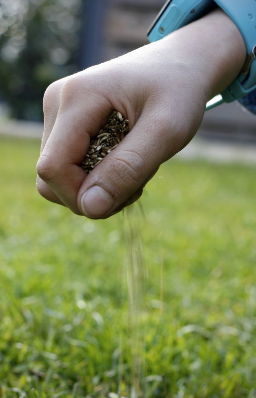 Lawn Seeding in Honolulu, HI