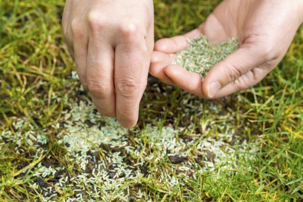 Grass Seed Installation - Grass Seed Installation North Wales, Pennsylvania