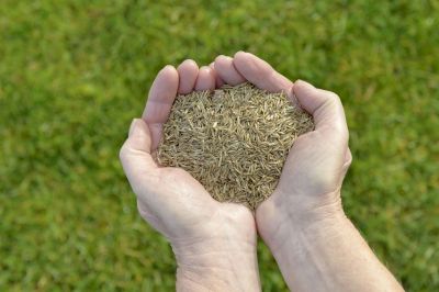 Accessibility & Comfort