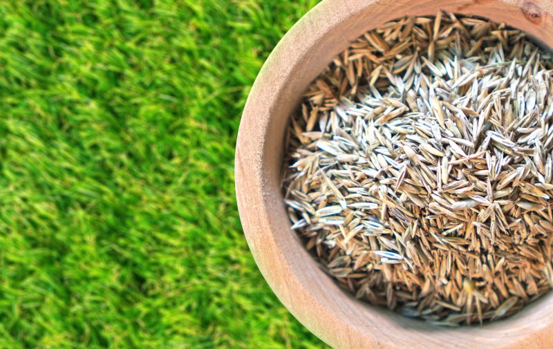Yard Overseeding in Ventura County, CA